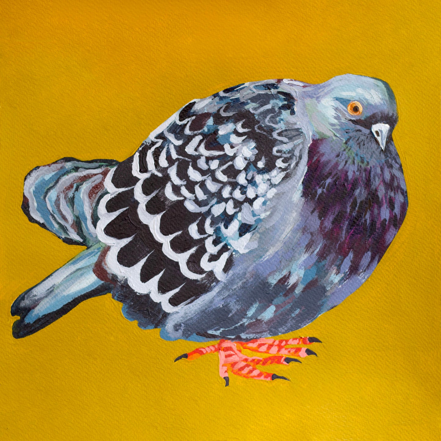 Plump Pidgey Art Prints