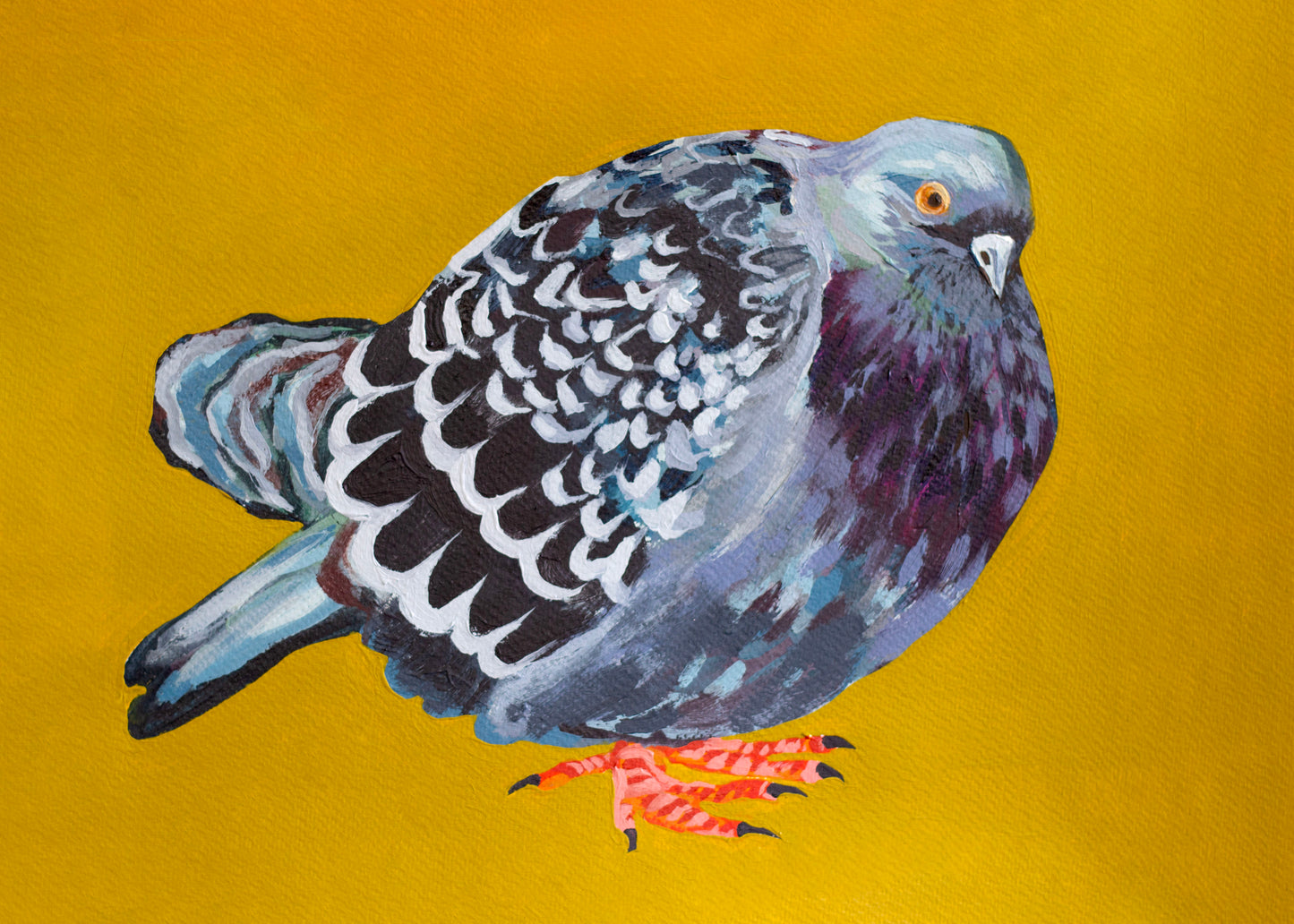 "Plump Pidgey" Original Painting - 12" x 9"