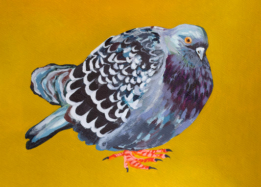 Plump Pidgey Art Prints